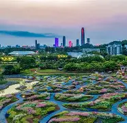  东城朱雀队鏖战瓯越战狼队，拉力赛小组赛失利，核心复出即建功。客场静默反击