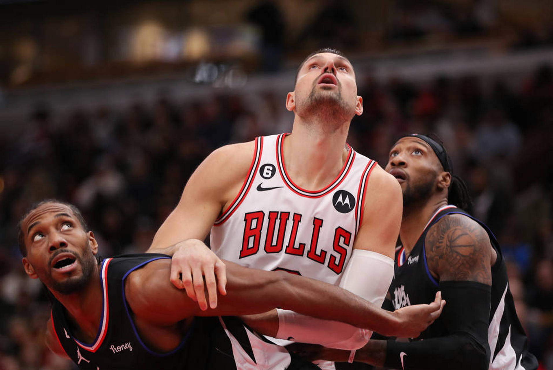 海星直播- 公牛队全明星 